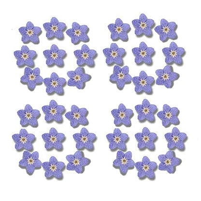 Leadigol Blue Forget Me Not Flowers,Don't Forget Me Dried Flower,Natural Real Dried Pressed Flowers, for Scrapbooking Art Crafts,Jewelry Soap Making,Nails Art Flowers Decorations
