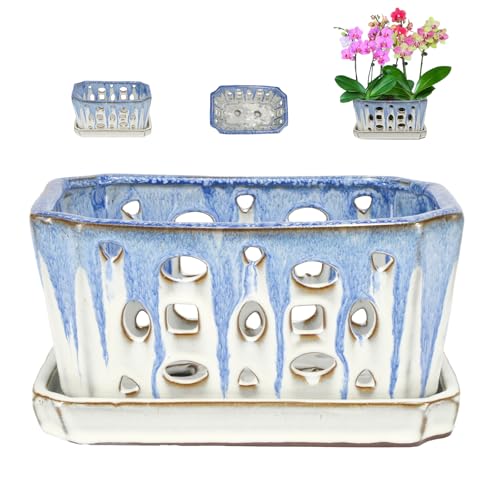 W&W Orchid Pot with Holes and Saucer for Repotting, Blue and White, 9.7 Inch - color: Blue and White 9.7", size: 9.7"