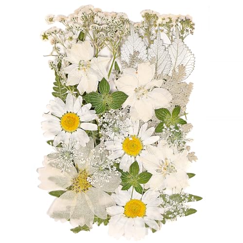 White Dried Pressed Flowers for Crafts,Real Natural Dried Flowers and Leaves for Resin Mold Scrapbooking DIY Candle Making Gifts（Modern Style） - color: White