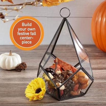 D'Eco Glass Black Mini Teardrop Tabletop or Hanging Planter Terrarium