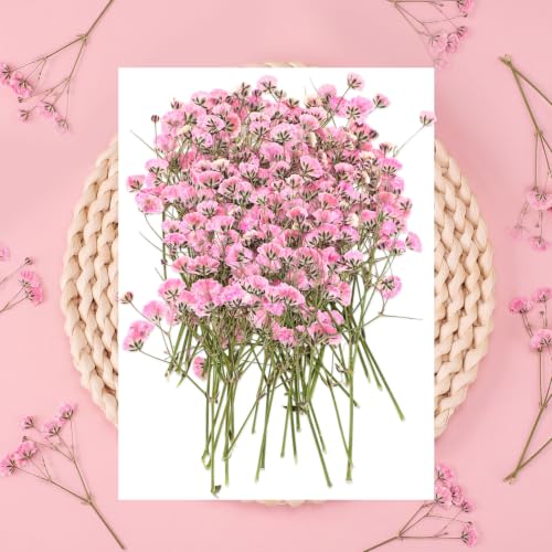 Tinideya 100 Pcs Dried Baby Breath Flowers Bulk Real Pressed,Pink - color: Pink