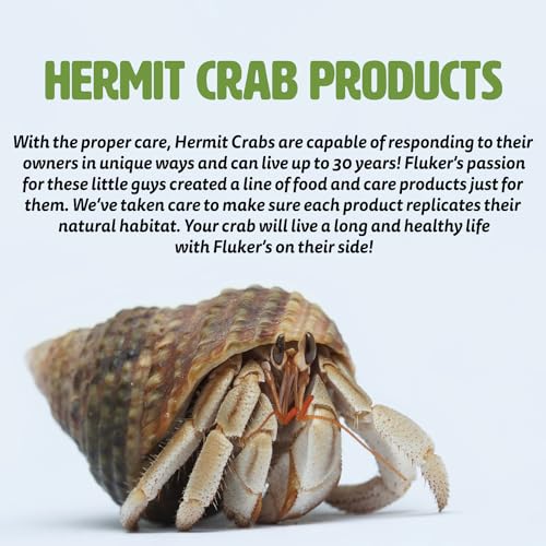 Fluker's All Natural Premium Hermit Crab Sand Substrate, Sand Mixture with Coconut Fiber, For Hermit Crab Tanks, 12 lbs. - size: 12 LBS