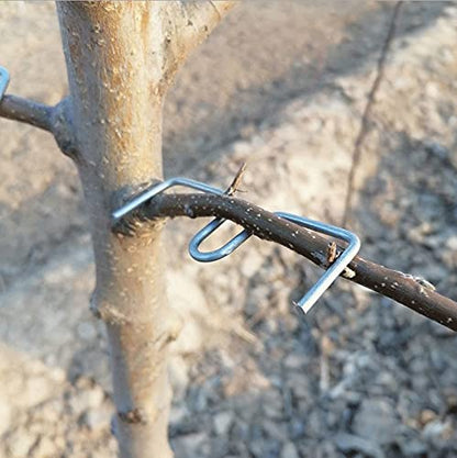 LEILIN Fruit Tree Branch Puller Tying Machine Farm Tools Plum Tree Open Angle Pull Branch Bending Tool Fruit Branch Branch Spreaders Fruit Trees Branch Support 24PCS (M-3.9(inch))