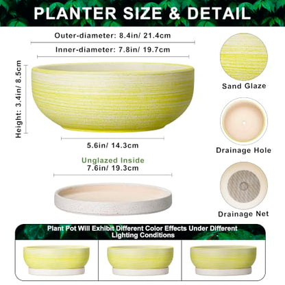 Pots for Succulents, 8 Inch Ceramic Bonsai Tree Pot, Brushed Yellow - color: Brushed Yellow, size: 8 Inch