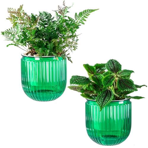 4.3 Inch 2 Pack Self Watering Pots for Indoor Plants and Succulent Tools Set