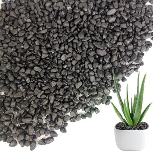HappyFiller 0.88 LB Black Gravels Small Stones Succulent Mini Rocks - color: Black