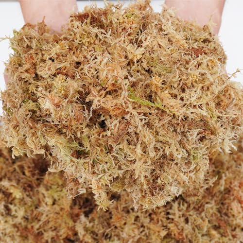 5oz Sphagnum Moss for Plant Propagation, Great Orchid Potting Mix, Help with Maintain Humidity - size: 5 oz