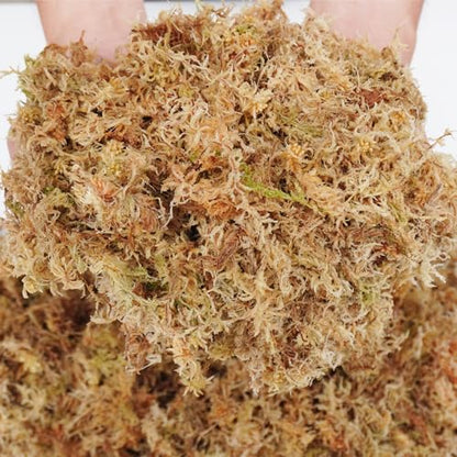 5oz Sphagnum Moss for Plant Propagation, Great Orchid Potting Mix, Help with Maintain Humidity - size: 5 oz
