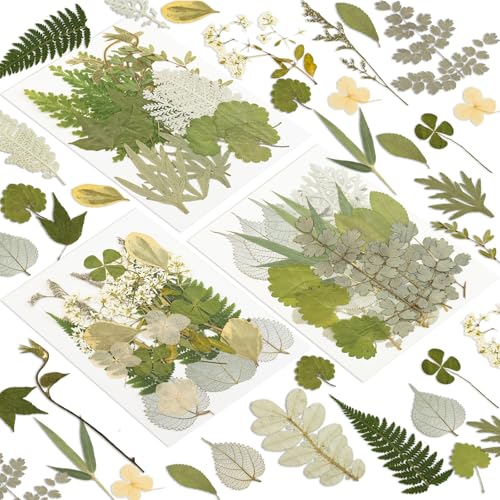163 Pcs Dried Pressed Flowers for Resin Crafts, Real Natural Pressed Flowers and Leaves Kit Butterfly Stickers Vacuum Sealed Dry Flowers for DIY Epoxy Resin Jewelry Molds, Candle Soap Making, Nail Art - color: Leaf 163pcs