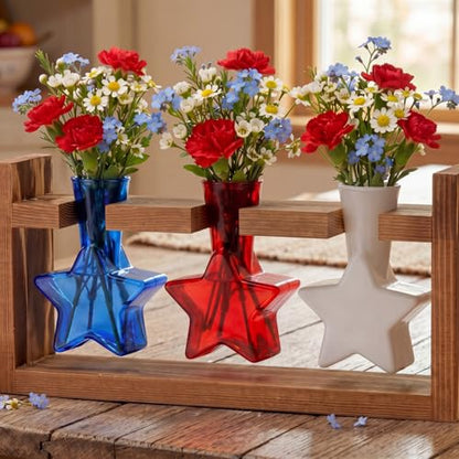 Remerry Patriotic Star Plant Terrarium with Wooden Stand, Red White Blue - color: Red,white,blue, size: 3 Star Vases, style: Patriotic Star