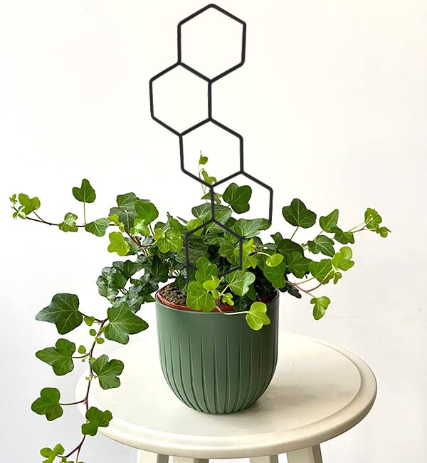 Wellsign 15.94Inch Plant Trellis for Climbing Plants Indoor Outdoor | 4 Patterns Metal Small Garden Houseplant Trellis for Potted Plants for Vine Ivy Flower Plant Support Lover Gifts Lattice - size: Back-Metal-Trellis02