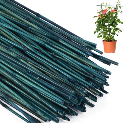 Suclain 50 Pcs 3 Feet Bamboo Stakes for Plant Support Bamboo Sticks Poles Indoor and Outdoor Tall Garden Stakes with 100 Twist Ties for Tomato Bean Flowers Trees Potted and Climbing Plant Support - size: 3 Feet