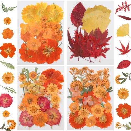 100 PCS Fall Dried Pressed Flowers Autumn Real Dried Flowers Leaves for Resin Molds Orange Natural Pressed Dry Flower Leaf Kit for Scrapbooking Crafts DIY Jewelry Candle Soap Making Nails Decor
