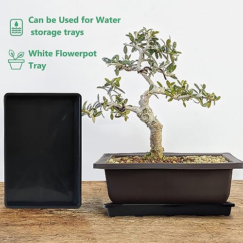 RooTrimmer 5 Pack Nursery Potting Tray, Carrying and Holding Plant Tray for Seeds Starting Pot, Collecting Drainage Water(Black) - color: Black, size: Holding Trays-5P
