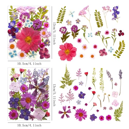 Dried Pressed Flowers Leaves Kit(120Pcs Purple) | Real Natural Flowers, Scrapbook Supplies, Candle & Soap Making, Jewelry Crafting, Phone Case Decor - color: 120pcs Purple