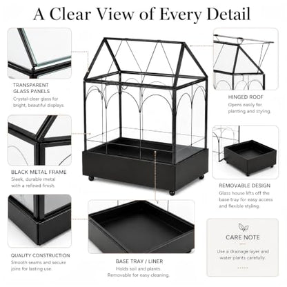 Large Tall Glass Plant Terrarium – House Succulent Terrarium Kit with Lip and Tray Glass Greenhouse Terrarium for Plant 9.5”X5.7”X11.4” - color: Black 3