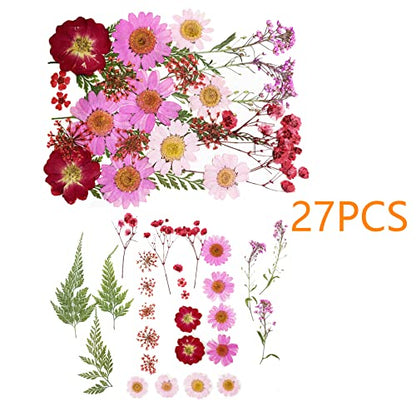 Cayway 4 Style Pressed Flowers Natural Dried Flowers Colorful Resin Flowers Real Pressed Flowers with Butterfly Sticker for Resin Scrapbooking DIY Art Crafts, Epoxy Resin Jewelry Supplies - color: 3 Packs+1 Packs Butterfly