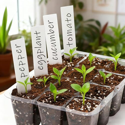 Bonviee 12-Pack Seed Starter Trays, 12-Cell Insert Trays, Clear - color: Clear, size: 144 Cells