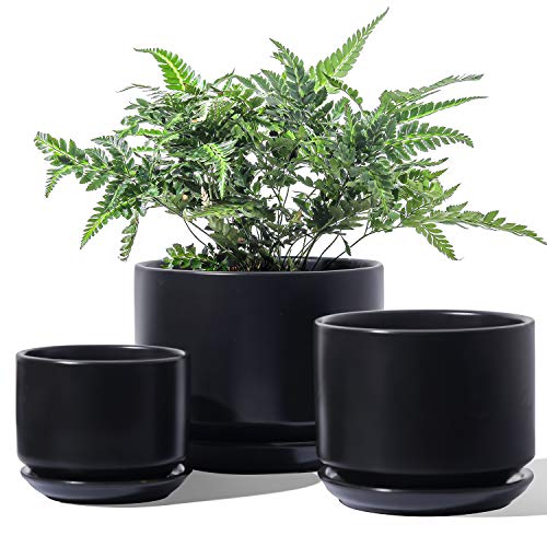 LE TAUCI Ceramic Plant Pots, 4.3+5.3+6.8 inch, Set of 3, Planters with Drainage Hole and Saucer, Indoor Flower Pot with Hole Mesh Pad, Gifts for Mom, Black - color: Black