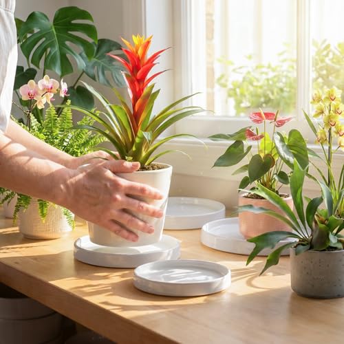 Ceramic Plant Saucer 10.5 Inch 1 Pack White, Fits Pot Base Under 10 Inch | Sturdy, Leak-Proof, Indoor Outdoor Planter Base, Plant Pot Tray Plate for Flower Pots to Catch Water Drip & Drainage - size: 10.5in 1pack