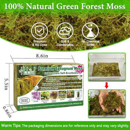 Halatool 6OZ Natural Green Forest Moss, Long Fiber Sphagnum Moss for Plants - size: 6 oz