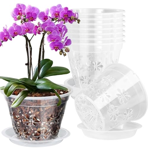 Orchid Pot, 8 Pack 7 inch Orchid Pots with Holes & Saucers, Clear Plastic Pot for Repotting, Breathable Ventilation Planters for Phalaenopsis, Dendrobium & Oncidium Orchids - color: Clear, size: 7'' 8pack