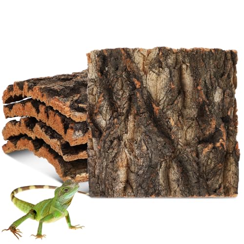 Garneck Reptile Terrarium Cork Bark Background 5Pcs Tree Bark Decor for Reptile Tank Vivarium Cork Background for Bearded Dragon Gecko Turtle Habitat Hide Log Climbing Platform
