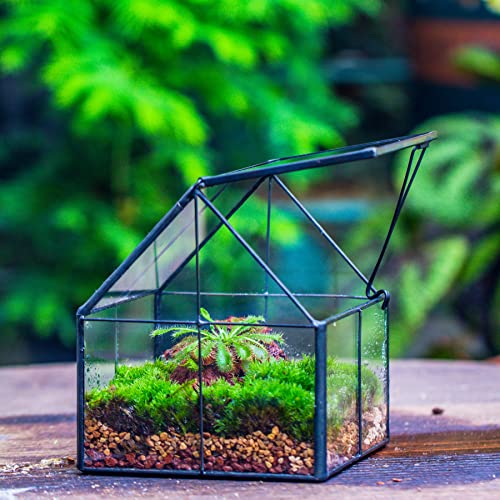 NCYP Glass Terrarium - Mini House Shape Terrarium with Lid, and House Shape Terrarium with Acrylic Lid, for Small Succulent Cacti, Ferns, Home Garden Decor