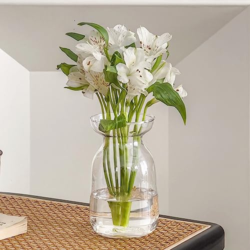 Gute Glass Vases for Decor,Modern Clear Flower Vase Centerpiece,5.9in - color: Clear