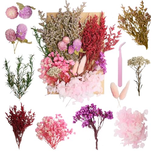 Real Dried Flowers for Resin, Natural Pressed Flowers(Multicolor 2) | Natural mixed dried flower pack with tweezers for DIY resin,crafts& candles. - color: Multicolor 2