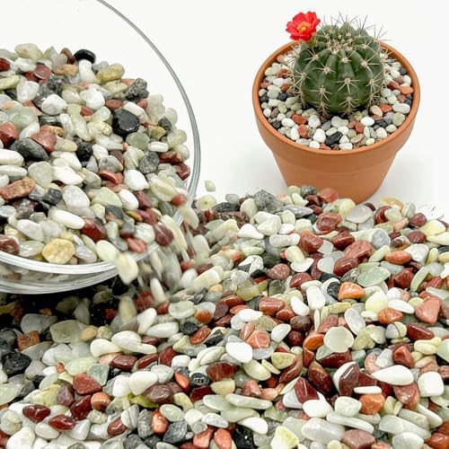 3Lb Polished Multi-Color Washed Rice Stone, 3/8 Inch Small Gravel - color: Mixed Color, size: 3LB