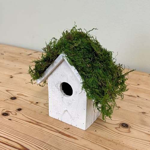 Sheet Moss, Preserved Moss, Green, Medium 2-Pack - color: Sheet Moss, size: Medium 2-pack