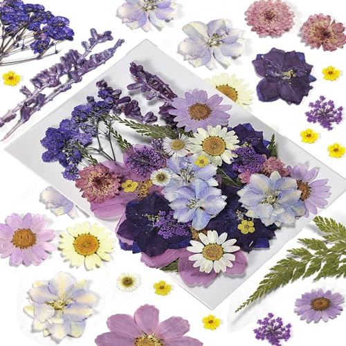 Pressed Flowers Purple 33 Pcs of 12 Types - size: 33 pcs Purple Dried Flowers