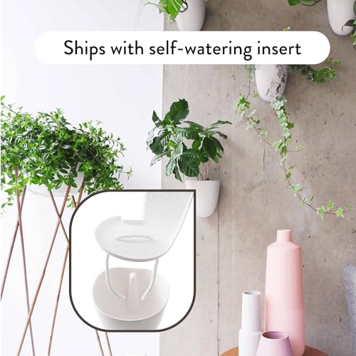 Make Good PlantPod Luxe - Self-Watering Wall Planters (Set of 6) - Easy to Water and Install - Lightweight - Design Your Own Vertical Garden - Wall Planters for Indoor Plants - color: White