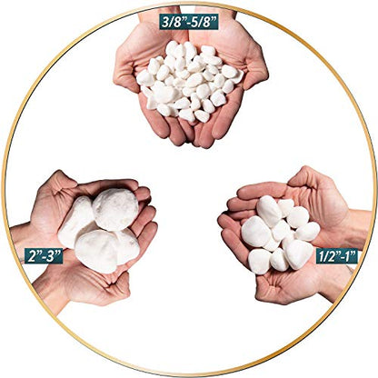 Southwest Boulder & Stone Porcelain White Pebbles | 20 lbs | Natural Rocks, White Stones for Potted Plants, Gardening, Succulents, Aquariums, Terrariums, and More (3/8 Inch - 5/8 Inch) - size: 3/8 Inch - 5/8 Inch