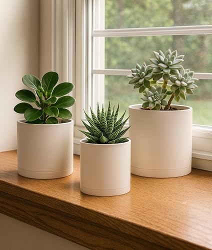 D'vine Dev 3-Pack Plastic Pots & Saucers, 4/5/6 in, Oatmeal, 74-V-H-1 - color: Oatmeal, size: Small