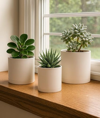 D'vine Dev 3-Pack Plastic Pots & Saucers, 4/5/6 in, Oatmeal, 74-V-H-1 - color: Oatmeal, size: Small