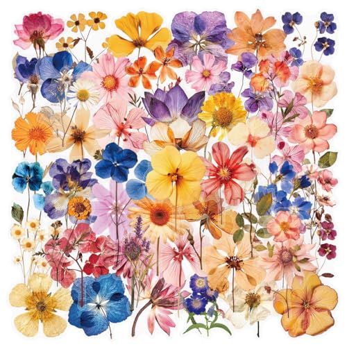 50Pcs Transparent Pressed Dried Flower Stickers Pack, Waterproof PET Vintage Floral Stickers for Flower Lovers Teens Adults, No‑Residue Decals for Journaling Scrapbooking Water Bottle Laptop Phone - color: Transparent Pressed Dried Flower -3