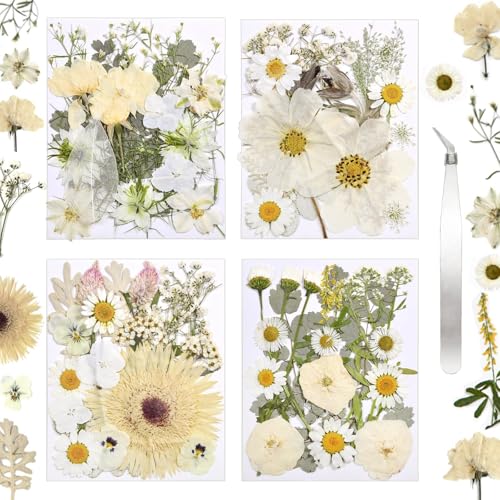Dried Flowers for Resin - size: 80 pcs White Dried Flowers