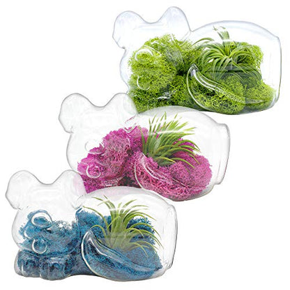 5.75" Puppy Dog Shaped Glass Terrarium Kit with Live Tillandsia Air Plant and Bright Colored Reindeer Moss (Pink) - color: Pink