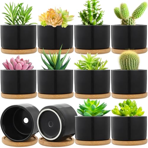 Cindeer 12 Sets Succulent Plant Pot Ceramic Succulent Pots Container Cactus Pots with Bamboo Tray Small Cylinder Flower Plant Pot with Bamboo Saucers for Plants Indoor Outdoor (Black,3 x 2.17 Inch) - color: Black