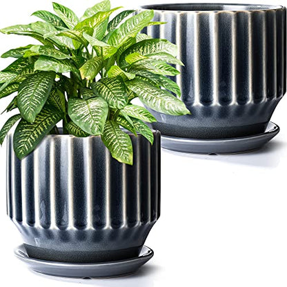 AISBUGUR Plant Pots 6 inch Ceramic Pots for Indoor Plants Set of 2 Flower Pots Unique Crackle Glaze Design Plant Pots with Drainage Hole and Saucer Come with Drainage Nets (Grey) - color: Gray