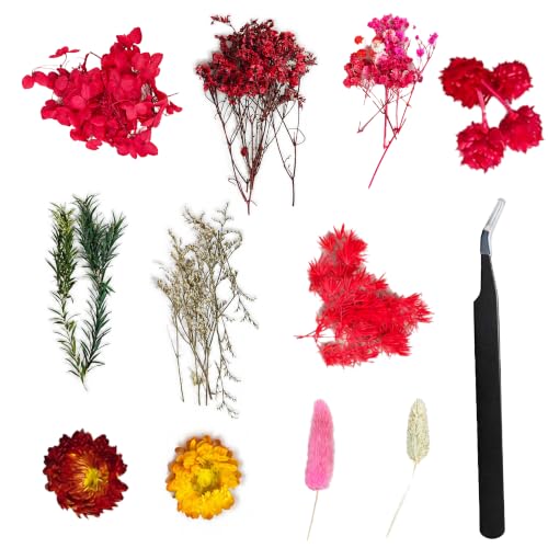 Red Dried Flowers for Crafts, Natural Pressed Flower Kit with Tweezers, Real Dried Botanicals for Resin Art, Candle Making, Scrapbooking, Card Making, Nail Art, Wedding Home Decor - color: Red