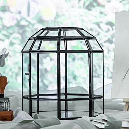 NCYP Geometric Glass Terrarium Dome for Succulent Cacti Air Plants, 6.6x6.6x8 Inches Closed Birdcage Planter Pot, Indoor Miniature Fairy Garden Display Container, Black, Handmade (Only Terrarium)