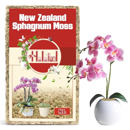 Halatool Premium New Zealand Sphagnum Moss, 100g (8L When Hydrated) - size: 8L