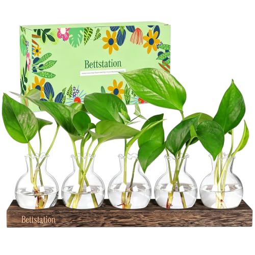 Plant Propagation Station, Plants Terrarium with Wooden Stand - color: 5 Bulbs