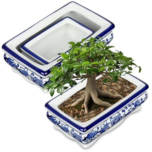 Set of 2 Blue and White Ceramic Bonsai Pots with Drainage Hole, 7.5" & 5" | Rectangular Bonsai Tree Pots Bonsai Planters for Indoor/Outdoor, Succulents, Cactis, Home, Patio, Garden, Chinoiserie Decor - size: 7.4"x4.3"x2.3"&4.9"x2.9"x1.5"