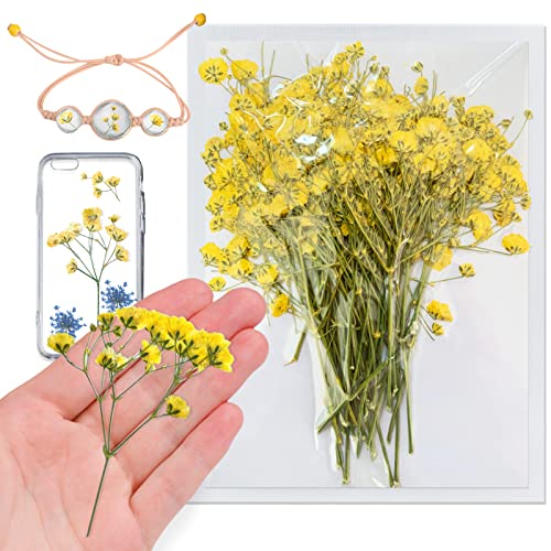 Yellow Natural Dried Flowers Gypsophila with Stem for Resin, 42PCS Real Pressed Babysbreath Flowers, Dry Flowers for Resin Jewelry DIY Phone Case Crafts Candle Making House Decor - color: Babysbreath With Stem-yellow