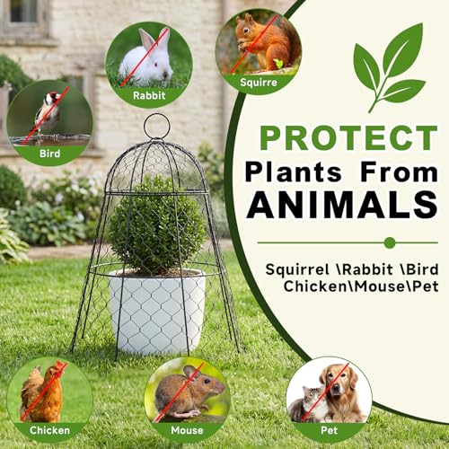 Sadnyy 12 Pack Garden Chicken Wire Cloche, 13" W X 15.7" H Plant Protectors and Covers, Wire Garden Cloches from Animals Metal Cage Plant Protection Strong and Not Easy to Deform - size: 13" D X 15.7" H, style: Detachable Style