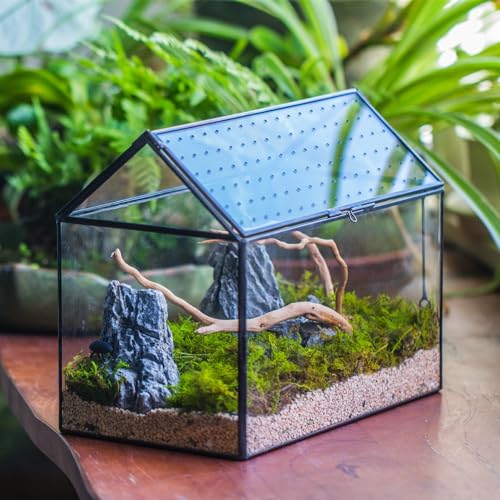 NCYP Glass Terrarium - Mini House Shape Terrarium with Lid, and House Shape Terrarium with Acrylic Lid, for Small Succulent Cacti, Ferns, Home Garden Decor